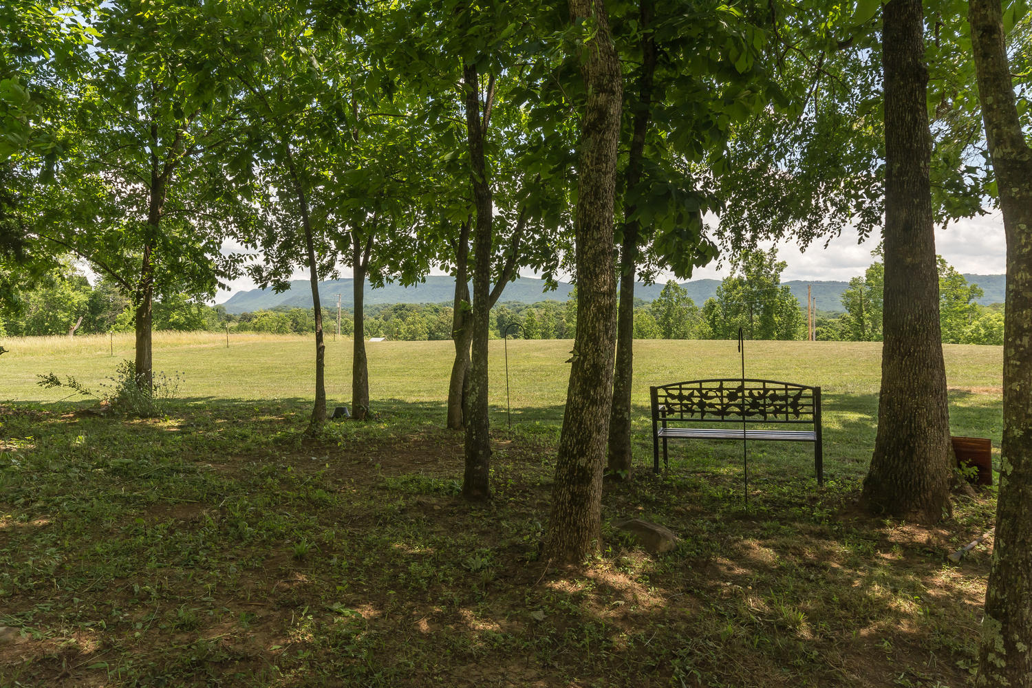1034 Keener Road Seymour, TN 37865 - Photo 9 of 38 1034 Keener Rd Seymour TN-large-009-Fron