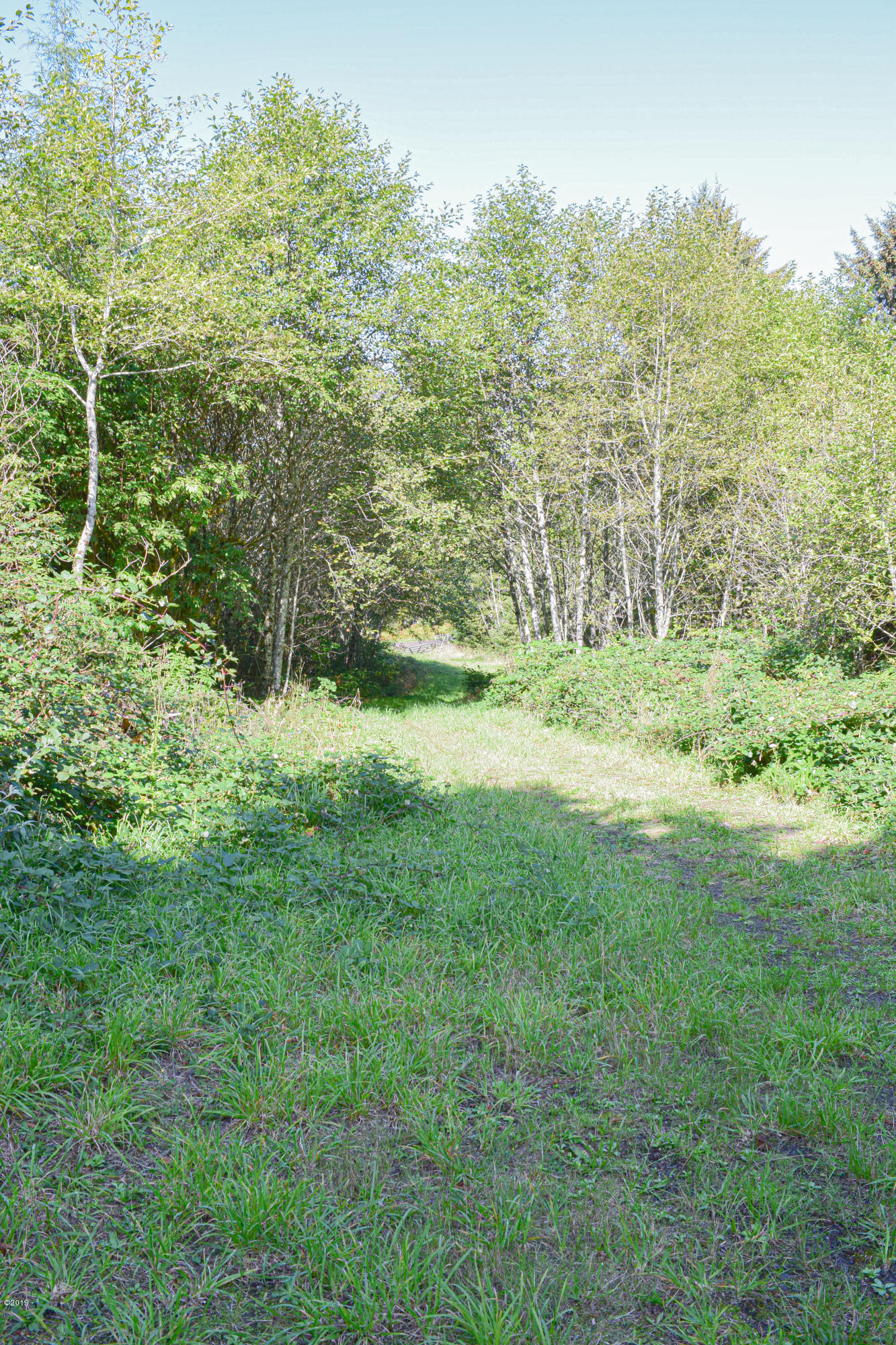 3174 Northeast East Line Road Yachats, OR 97498 - Photo 11 of 12 East Line
