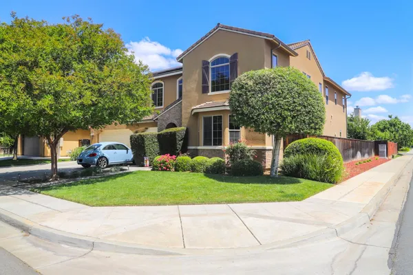a view of a house with a small yard plants and a large tree