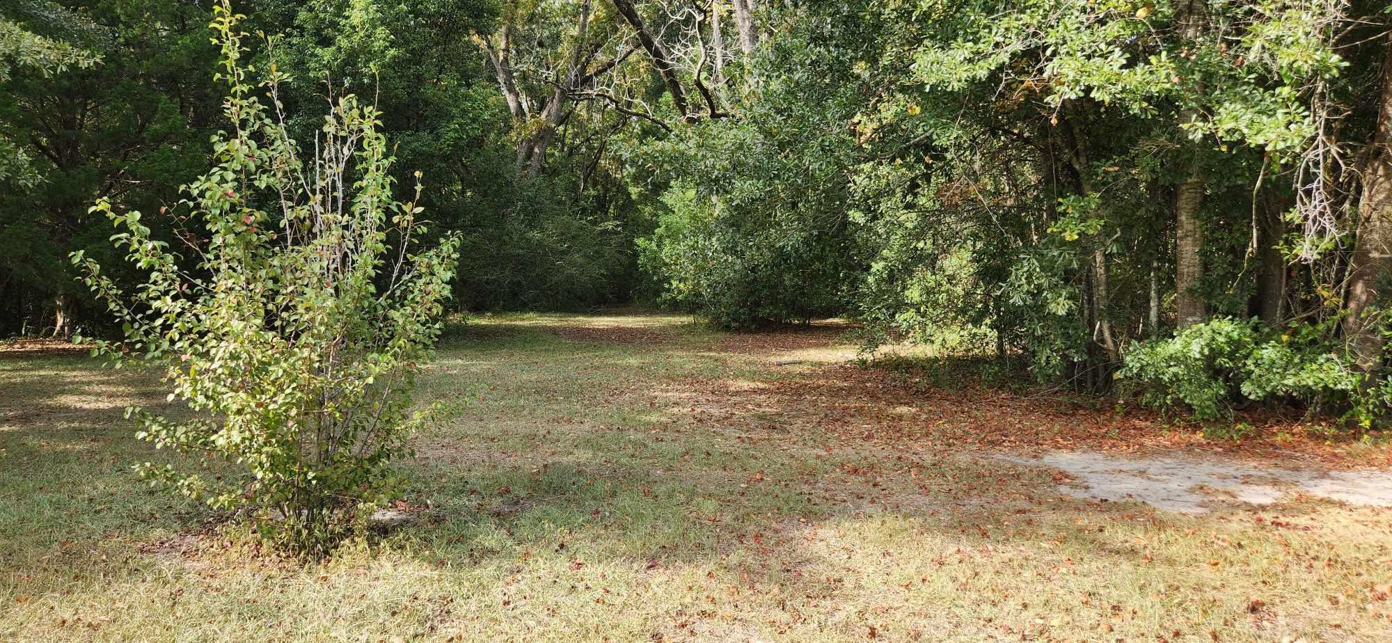 10145 County Road 64 Daphne, AL 36526 - Photo 9 of 21