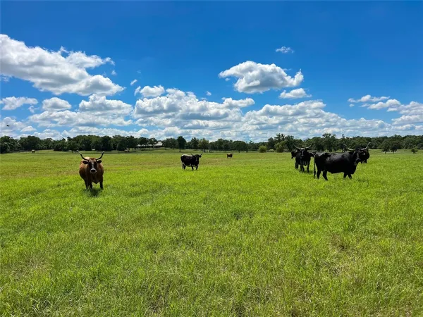 $3,325,000 | 1594 Fm 1147, Marquez, TX 77865