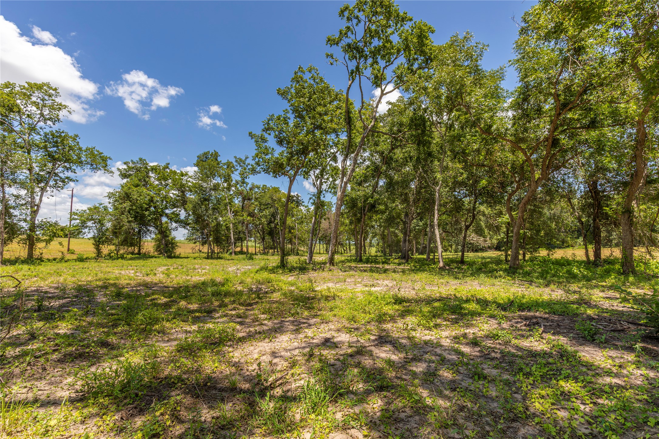 Tbd Lynn Road Bellville, TX 77418 - Photo 11 of 21