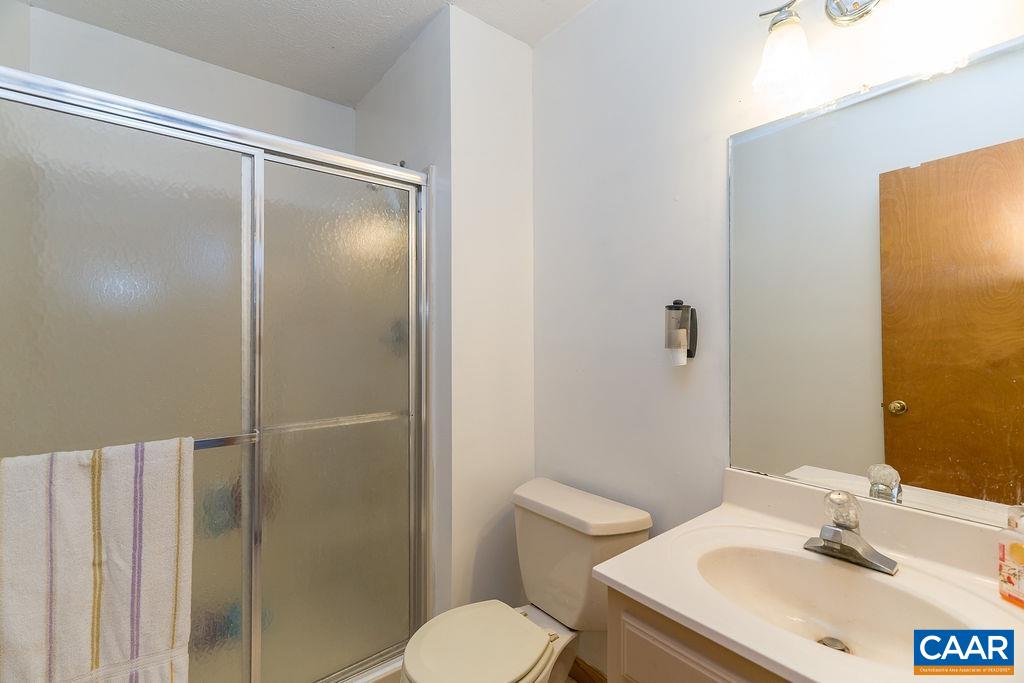 43 Dogwood Road Stuarts Draft, VA 24477 - Photo 25 of 66 Basement Bathroom