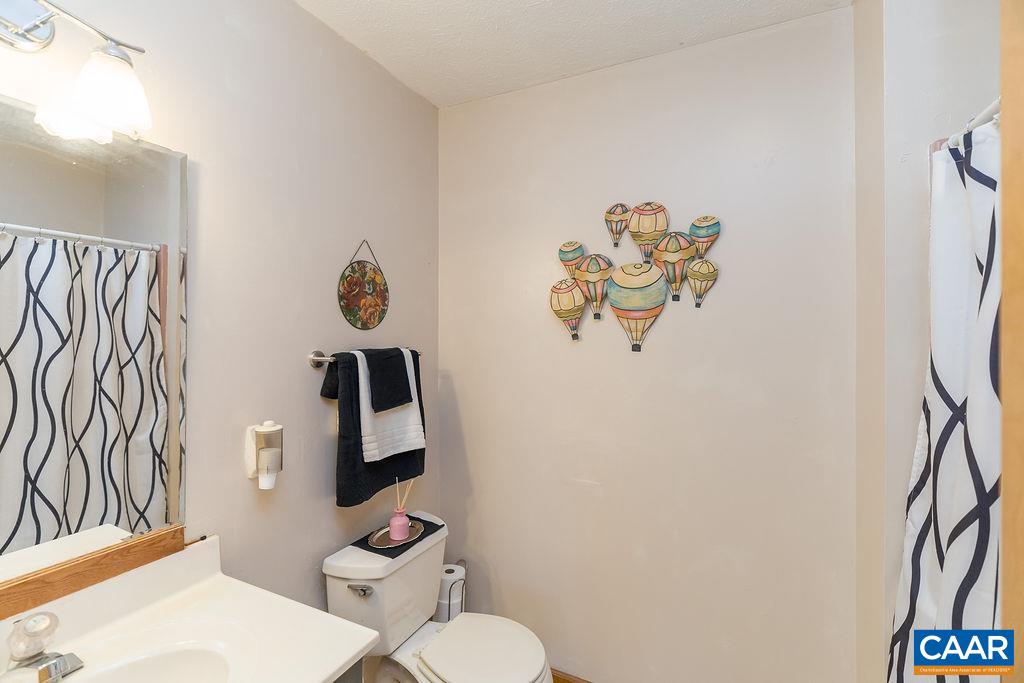 43 Dogwood Road Stuarts Draft, VA 24477 - Photo 40 of 66