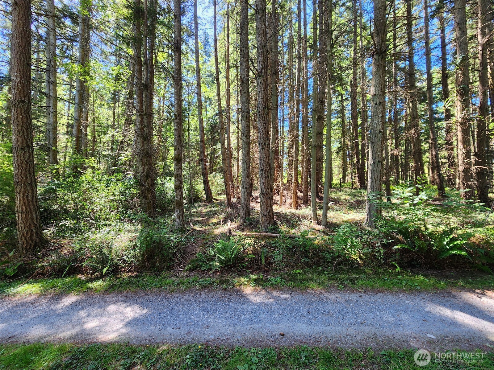 1664 Lancaster Road Freeland, WA 98249 - Photo 6 of 13