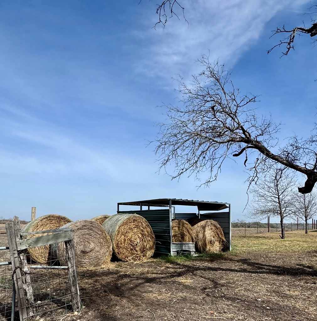 4515 Stapper Road St. Hedwig, TX 78152 - Photo 53 of 66