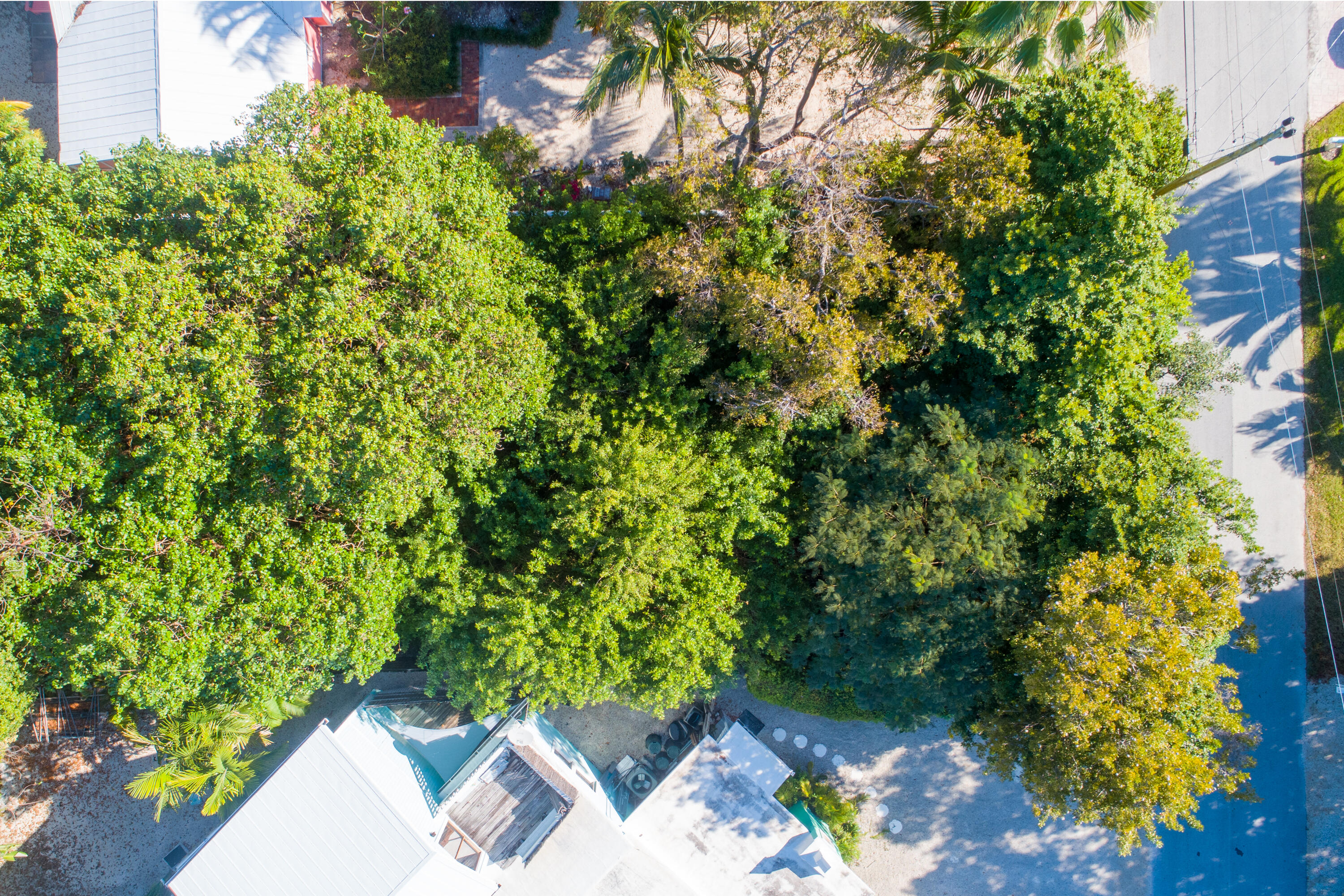 Vacant Lot Vacant Road Islamorada, FL 33036 - Photo 5 of 14 4