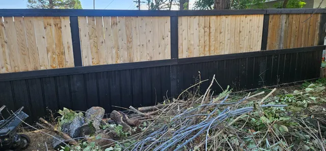 a view of a backyard