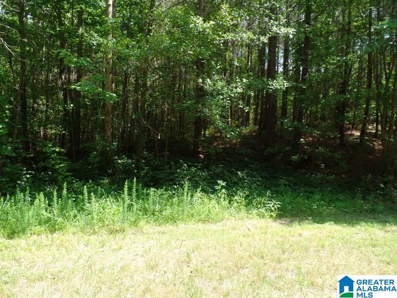 457 County Road, Unit 5 Heflin, AL 36264 - Photo 17 of 20