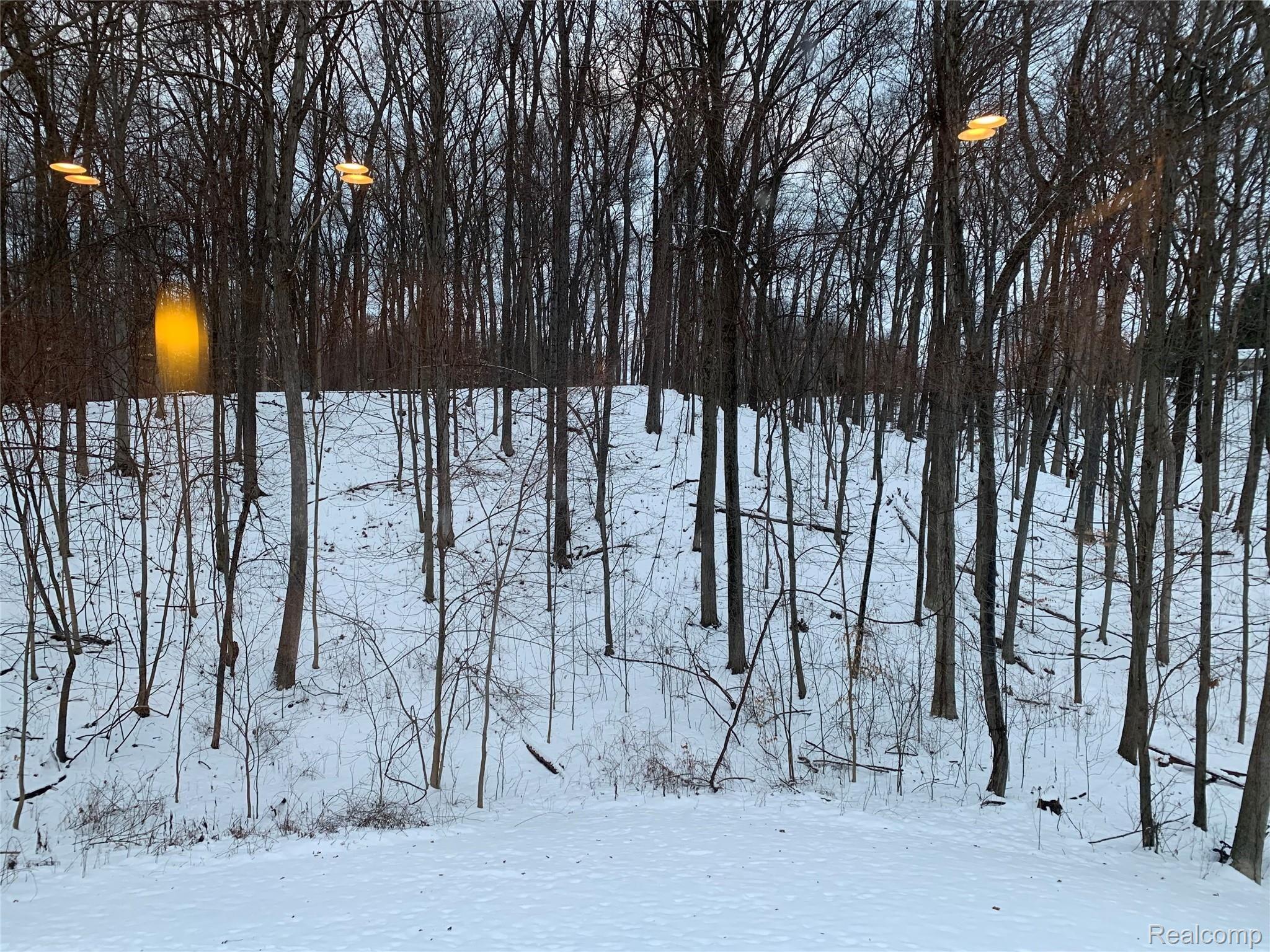 2716 West Coon Lake Road Howell, MI 48843 - Photo 14 of 26 Backyard view - beauty every season