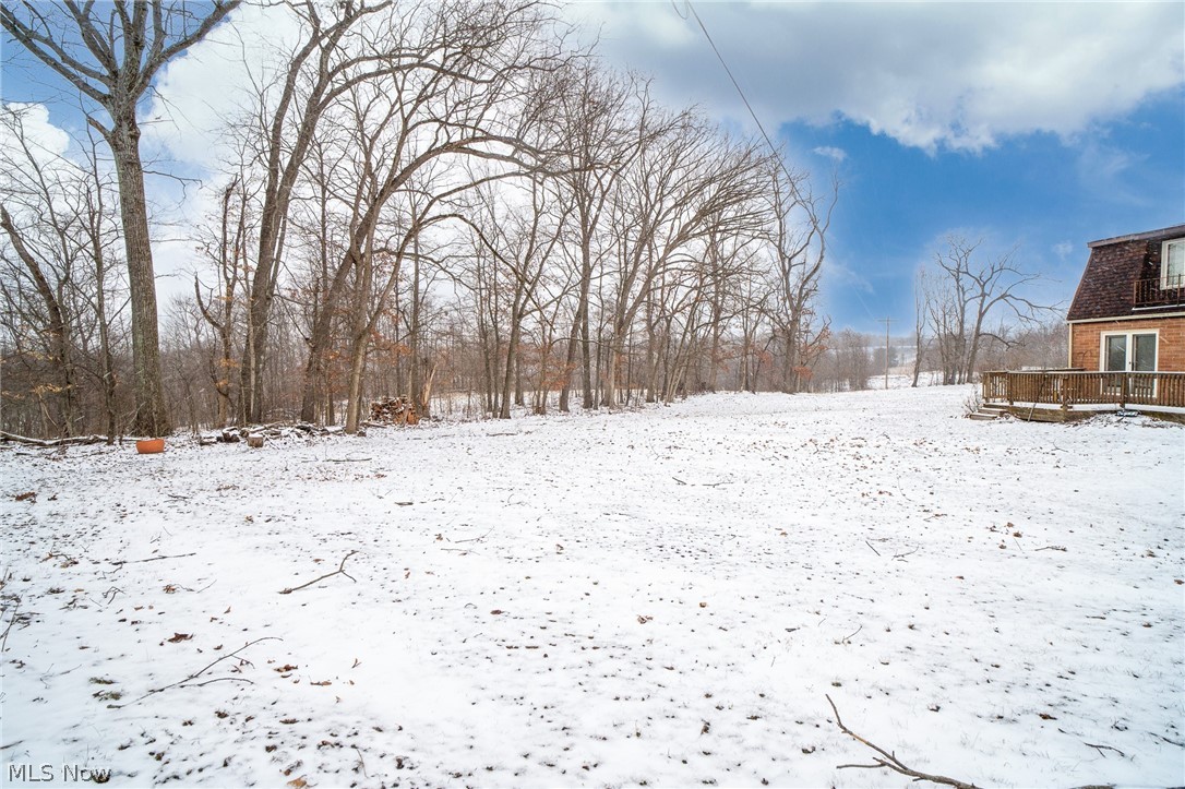 11 Pacific Road Northeast Carrollton, OH 44615 - Photo 41 of 46 Back yard