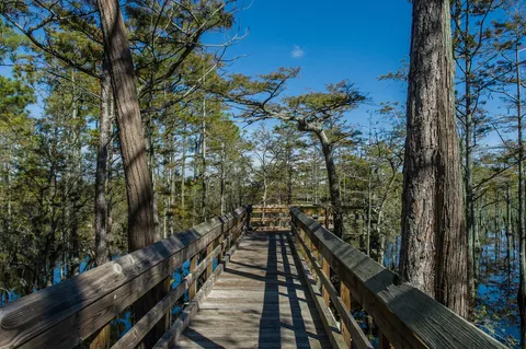a view of outdoor space and garden