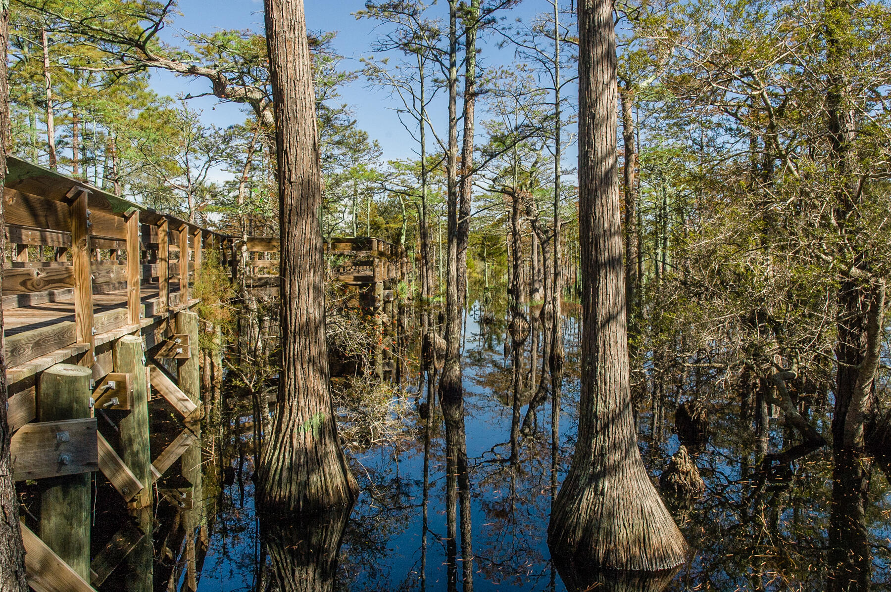 20 Cypress Walk Santa Rosa Beach, FL 32459 - Photo 44 of 47 a view of outdoor space and garden