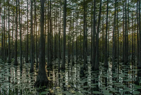 $199,998 | 20 Cypress Walk, Santa Rosa Beach, FL 32459