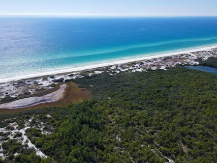 a view of an ocean beach