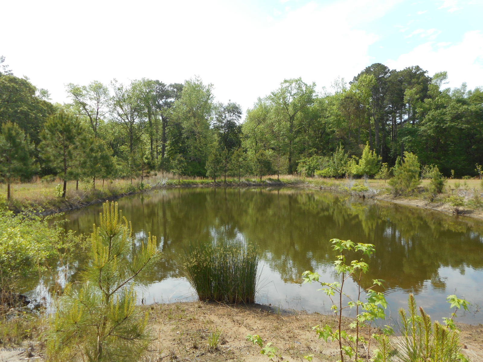 1255 Nine Foot Road Newport, NC 28570 - Photo 44 of 70 1255 Pond