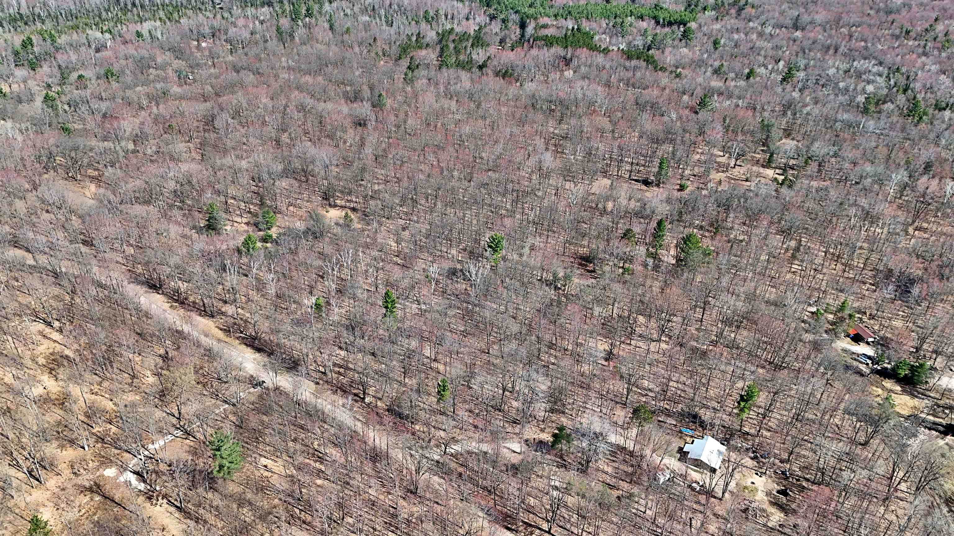 Vl 00 Cherry Hill Road Fife Lake, MI 49633 - Photo 19 of 21