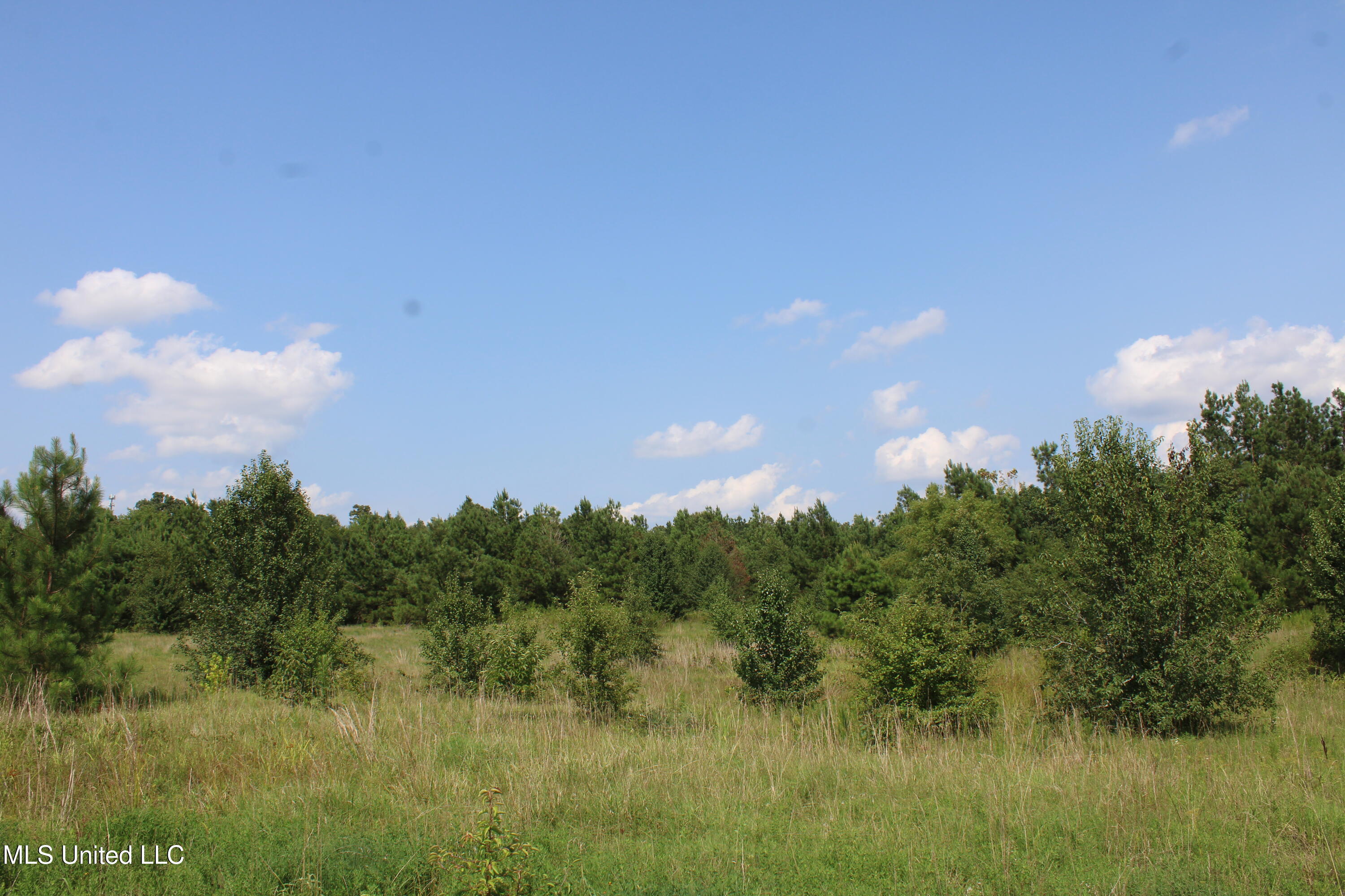 3466 Bethel Road Olive Branch, MS 38654 - Photo 77 of 86 IMG_1727