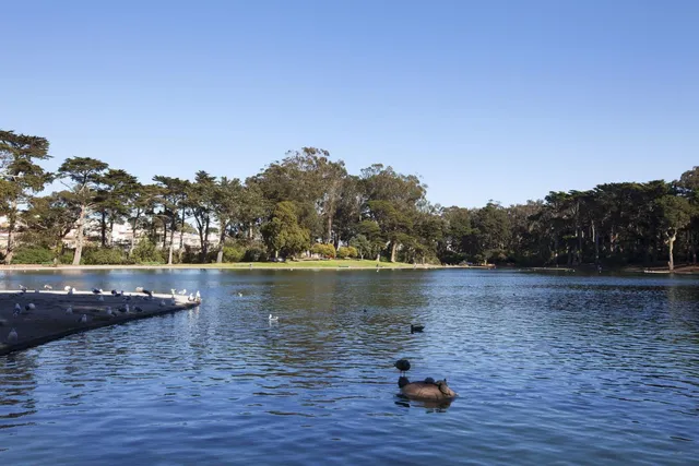 $2,890,000 | 494 46th Avenue, San Francisco, CA 94121