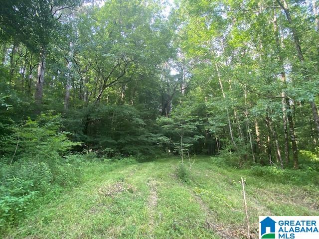 0 Highway 231, Unit 88 / AC Cleveland, AL 35049 - Photo 19 of 20