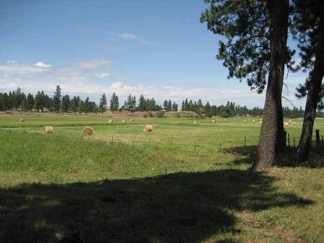 6810 East Spangle Waverly Road Spangle, WA 99031 - Photo 2 of 8