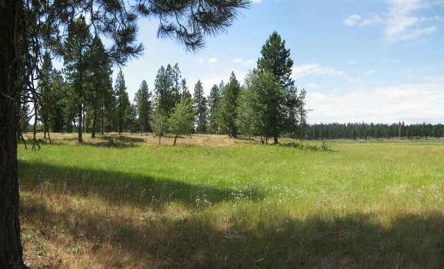 6810 East Spangle Waverly Road Spangle, WA 99031 - Photo 3 of 8