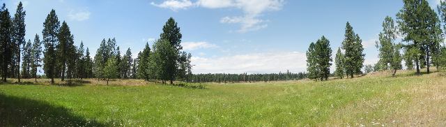 6810 East Spangle Waverly Road Spangle, WA 99031 - Photo 4 of 8