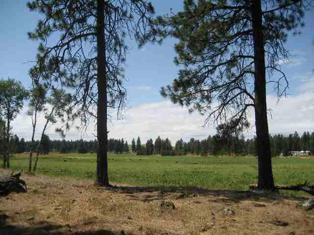 6810 East Spangle Waverly Road Spangle, WA 99031 - Photo 6 of 8