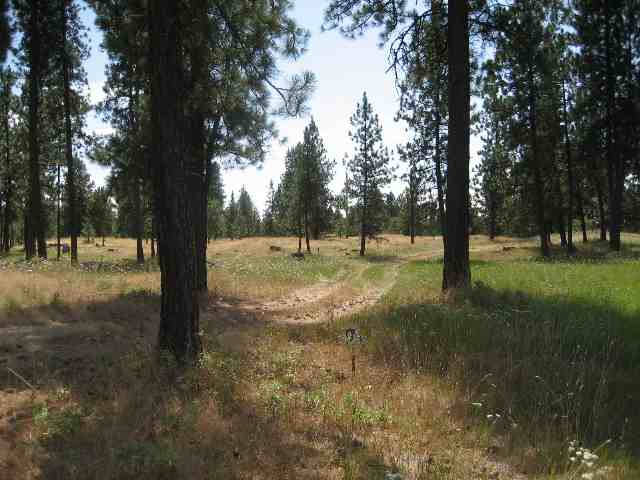 6810 East Spangle Waverly Road Spangle, WA 99031 - Photo 7 of 8