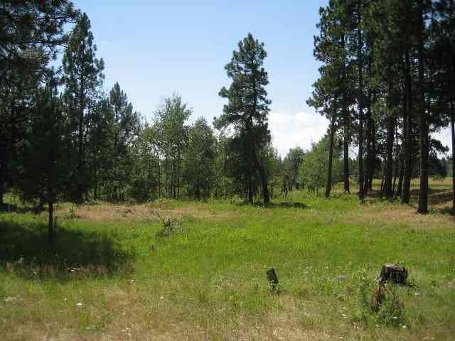 6810 East Spangle Waverly Road Spangle, WA 99031 - Photo 8 of 8