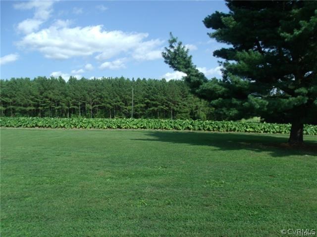 13085 Plank Road Kenbridge, VA 23944 - Photo 20 of 22