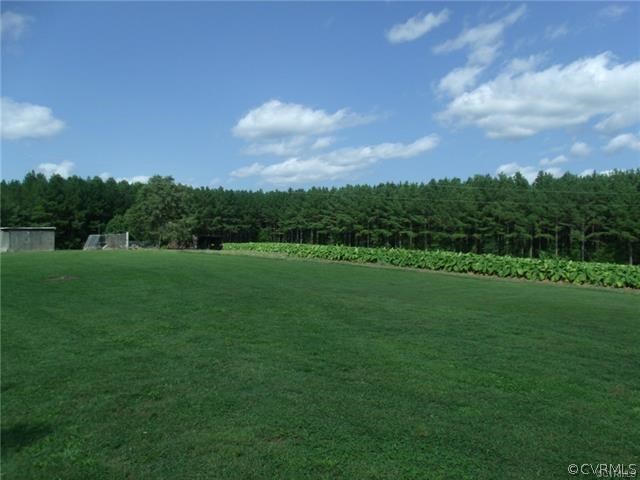13085 Plank Road Kenbridge, VA 23944 - Photo 21 of 22