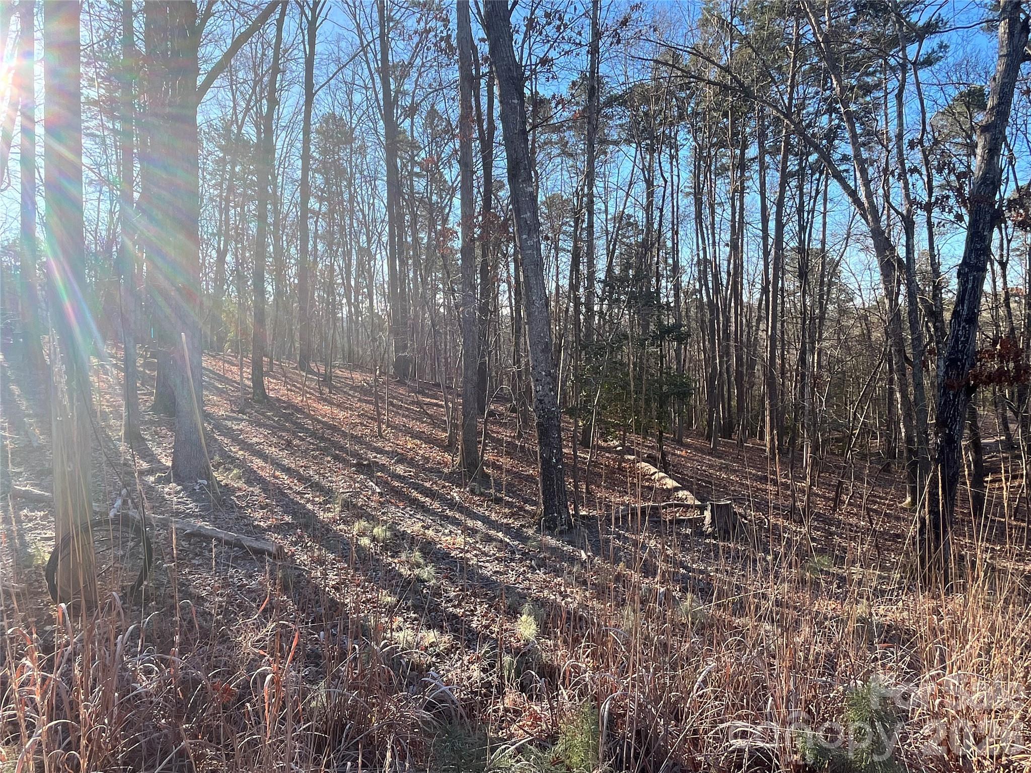 1866 Fairfield Road Mount Gilead, NC 27306 - Photo 1 of 8 a view of a backyard with trees
