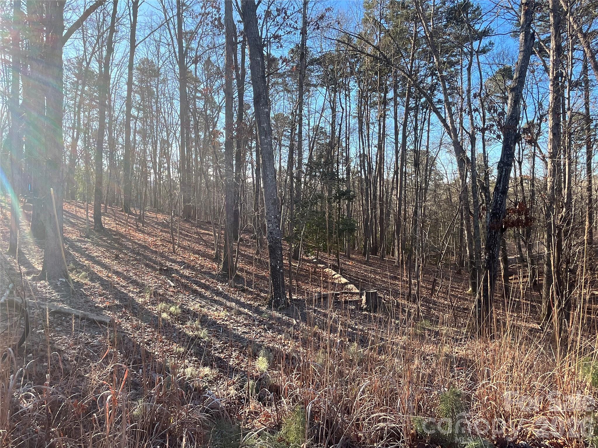 1866 Fairfield Road Mount Gilead, NC 27306 - Photo 2 of 8 a view of a backyard with trees