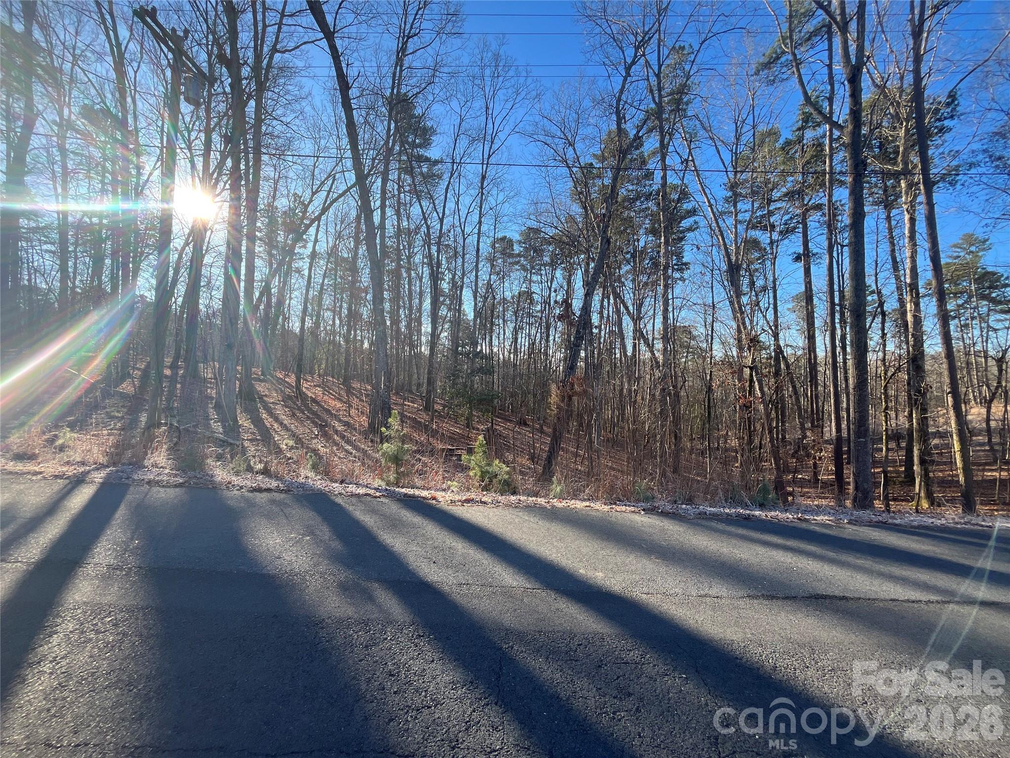 1866 Fairfield Road Mount Gilead, NC 27306 - Photo 3 of 8 a view of a pathway of a park with large trees