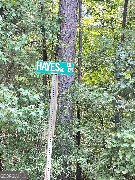 0 Felton Mcmichael Rd & Hayes - Landlot 090 Road Monticello, GA 31064 - Photo 6 of 7