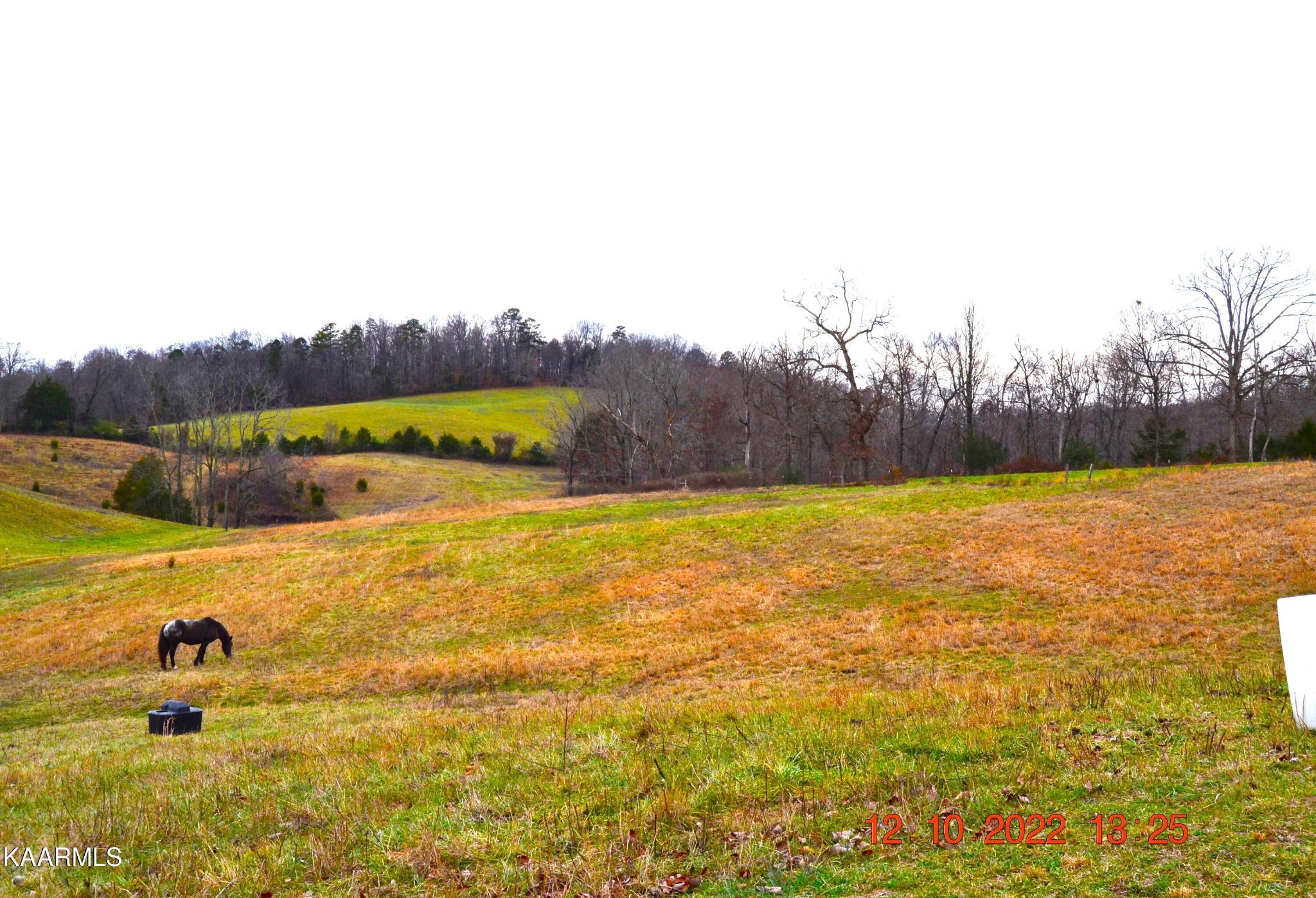 4 Cain Road Sharps Chapel, TN 37866 - Photo 12 of 17 Gallery Image 12