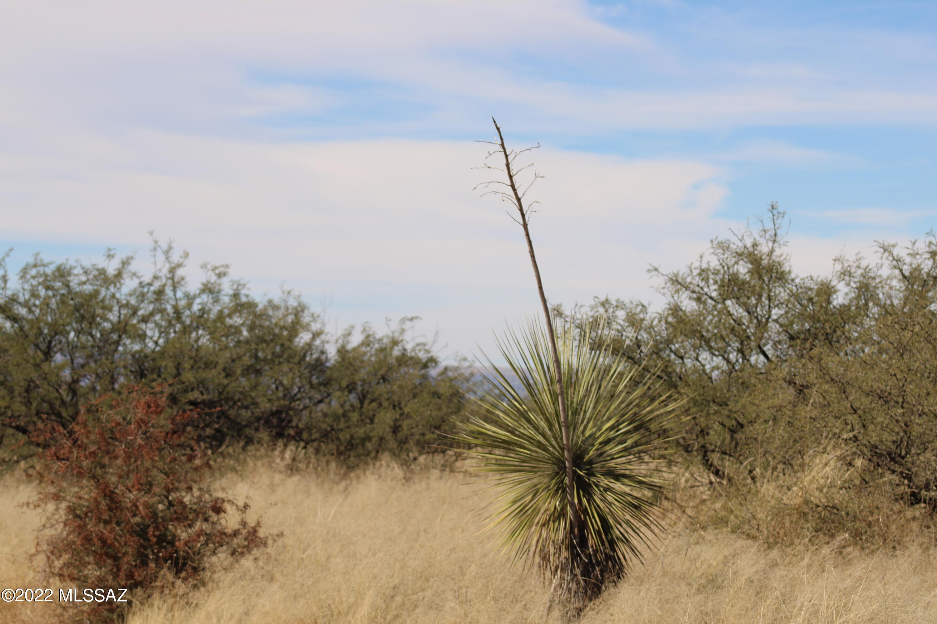 East De Vaca Circle St. David, AZ 85630 - Photo 12 of 20