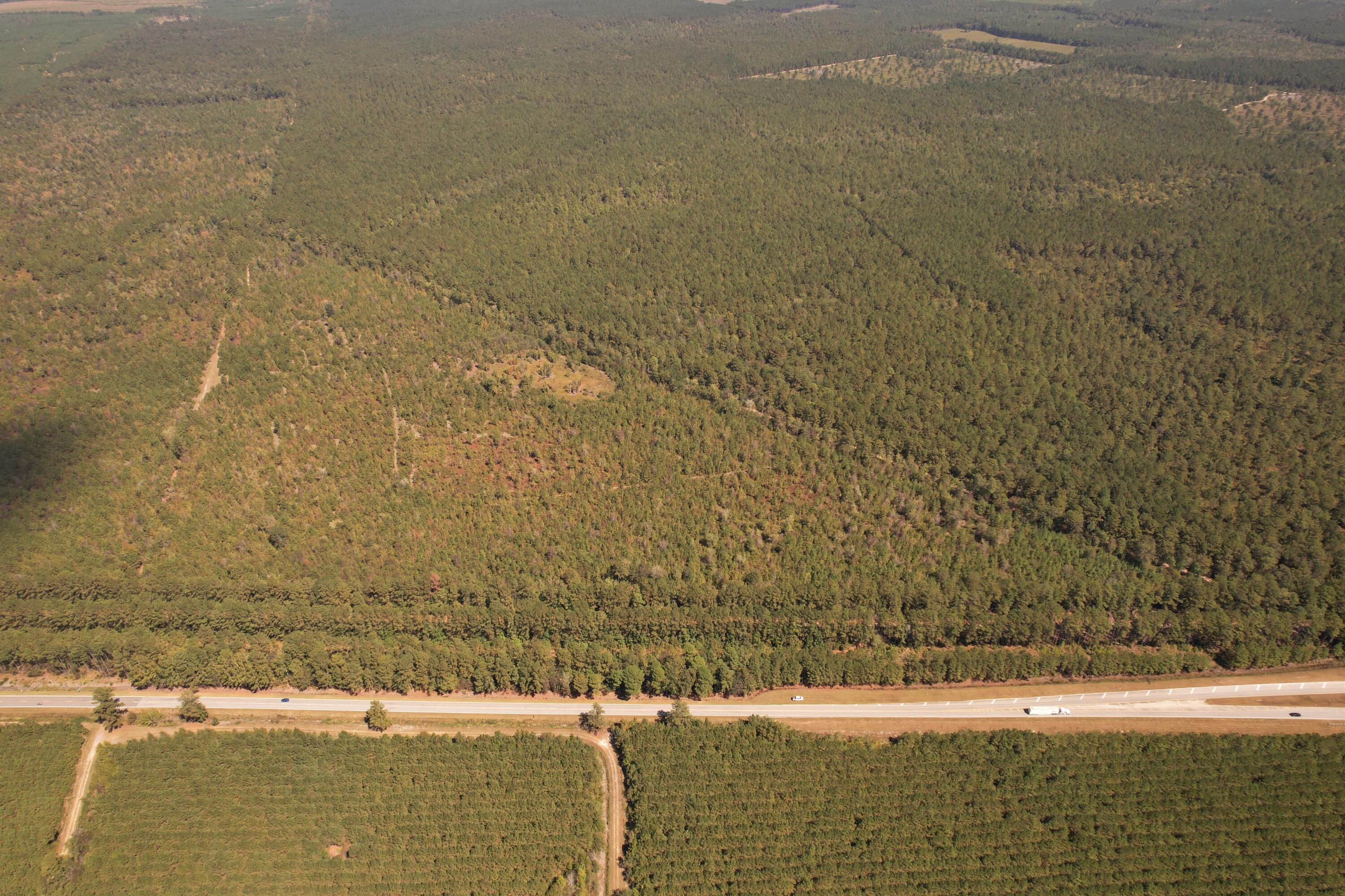 Tbd Old CC Camp Road Greeleyville, SC 29056 - Photo 2 of 12