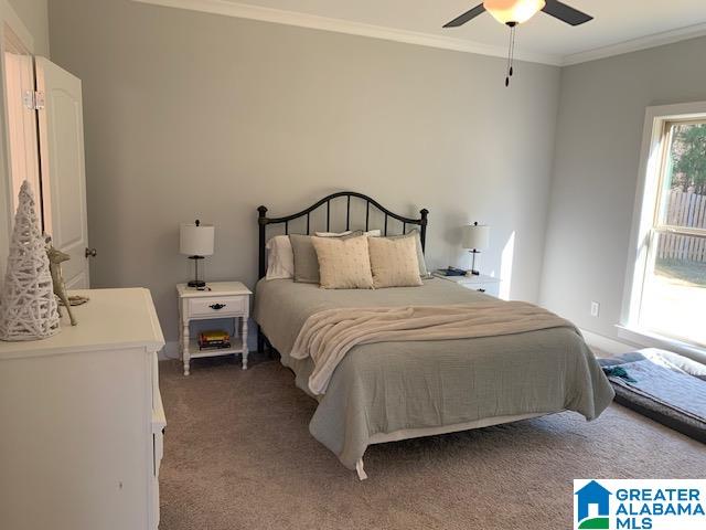 424 Hamilton Place Chelsea, AL 35043 - Photo 7 of 14