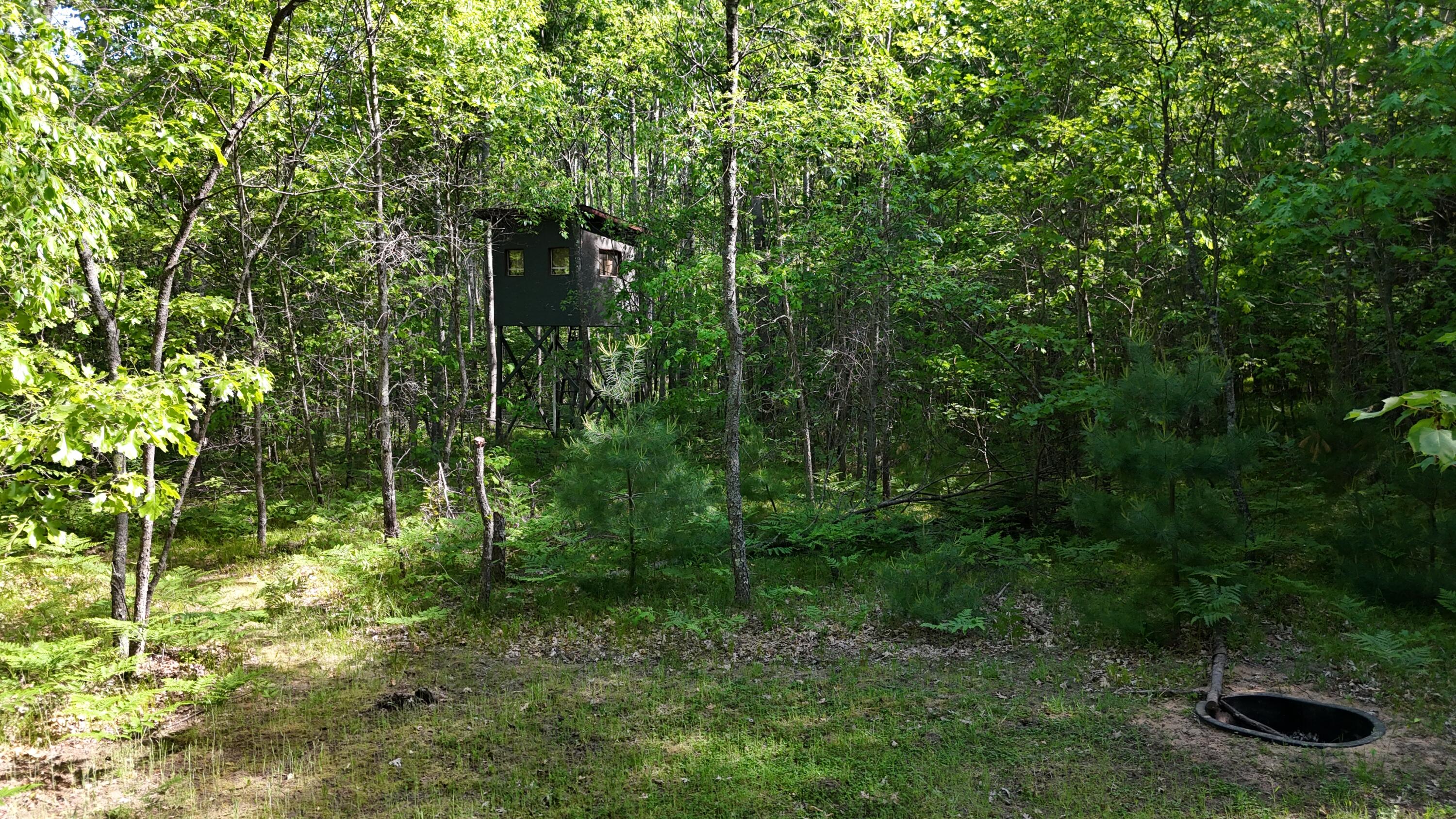 7 West Mile Road Irons, MI 49644 - Photo 2 of 49 DJI_20260604102723_0283_D