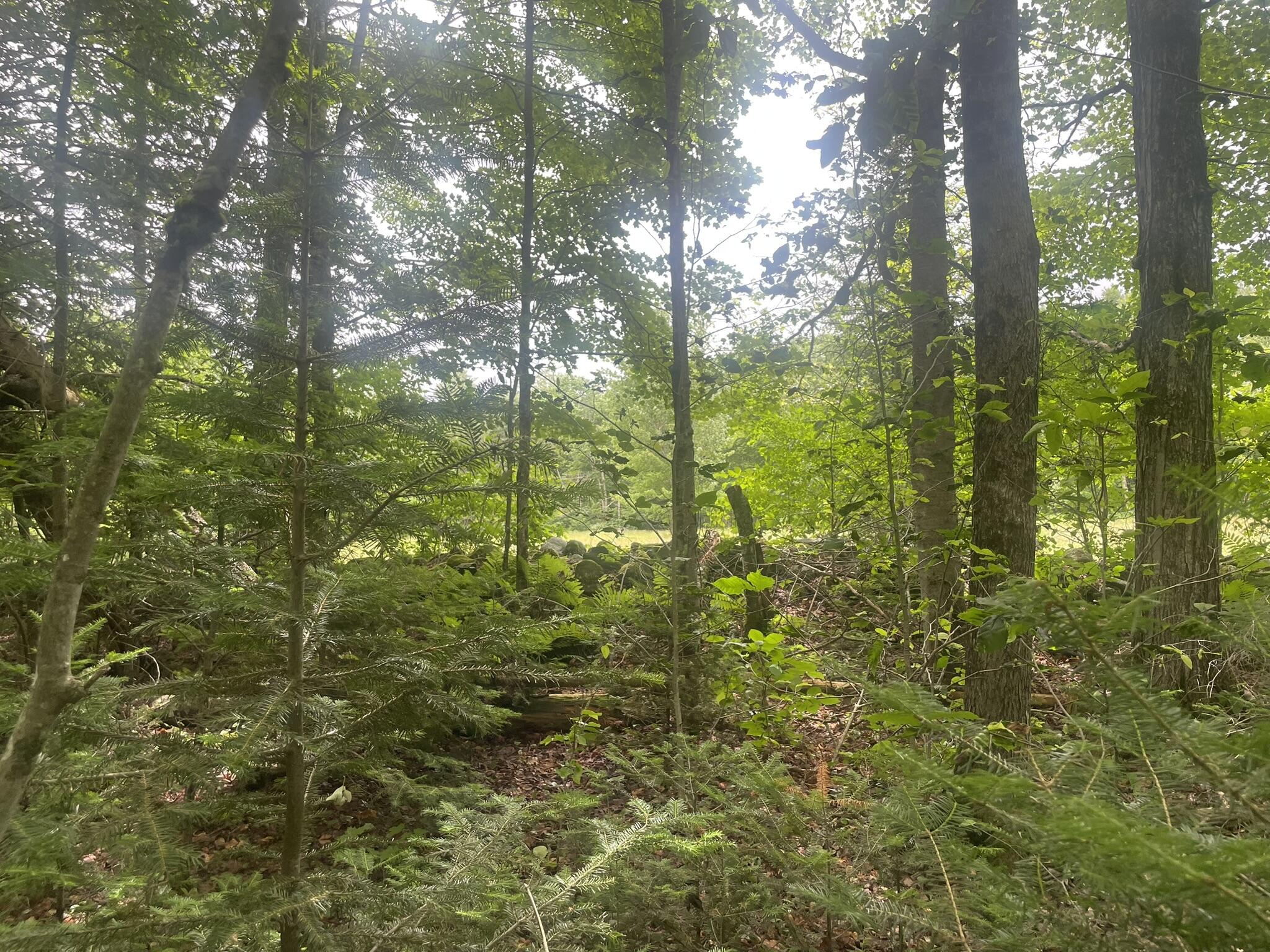 1075 Hill Road Clinton, ME 04927 - Photo 117 of 172 IMG_6215