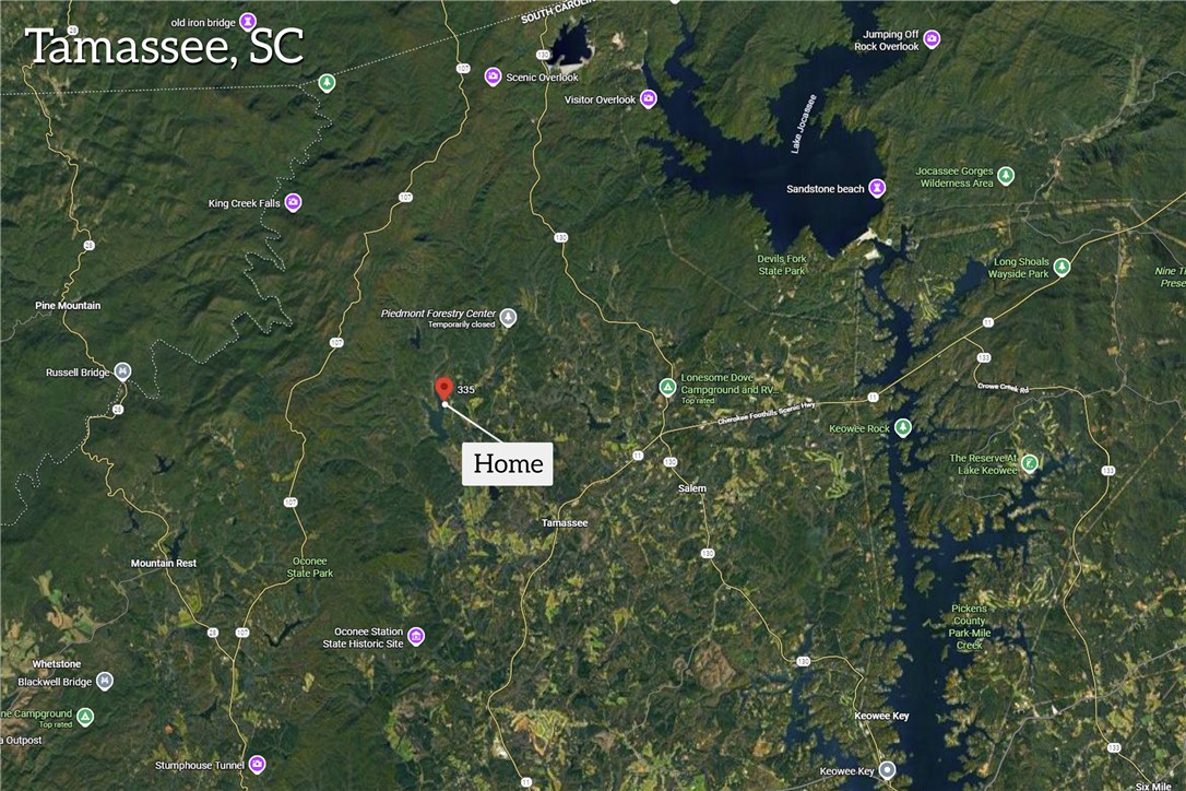 335 Time Out Place Tamassee, SC 29686 - Photo 25 of 49