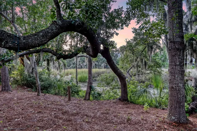 $2,200,000 | 1636 Oak Leaf Street, Charleston, SC 29492