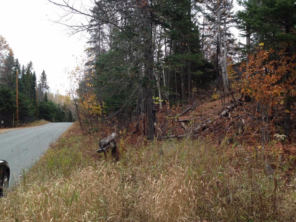 223 Old Dead River Road Eustis, ME 04982 - Photo 3 of 4 Photo