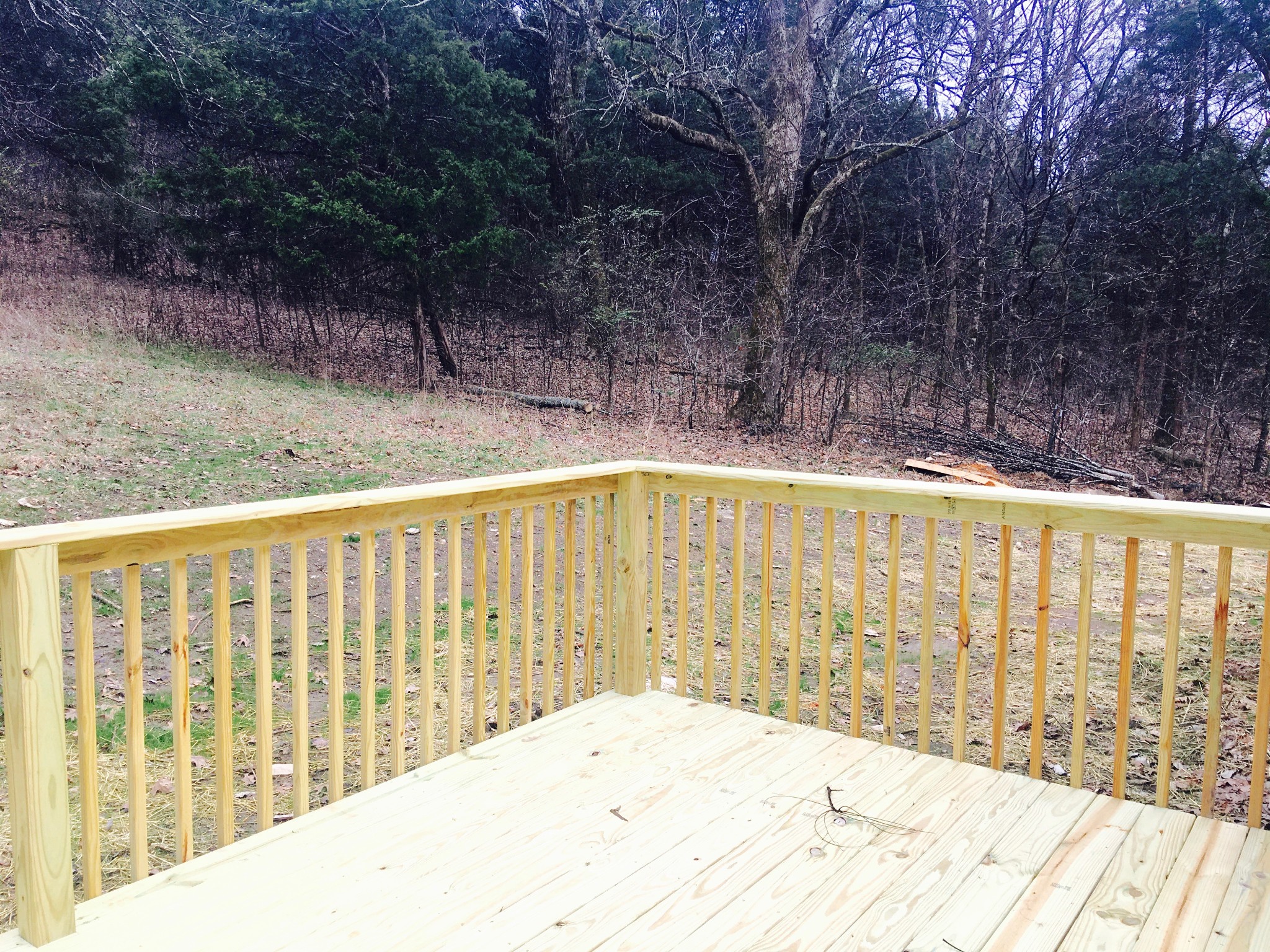 45 Cecil Johnson Road Mulberry, TN 37359 - Photo 2 of 12 a view of outdoor space with swimming pool