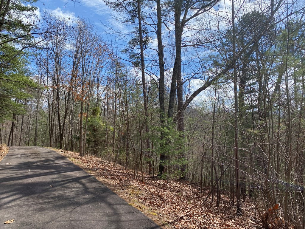 Lot 9 Turtle Ridge Trail Murphy, NC 28906 - Photo 3 of 10