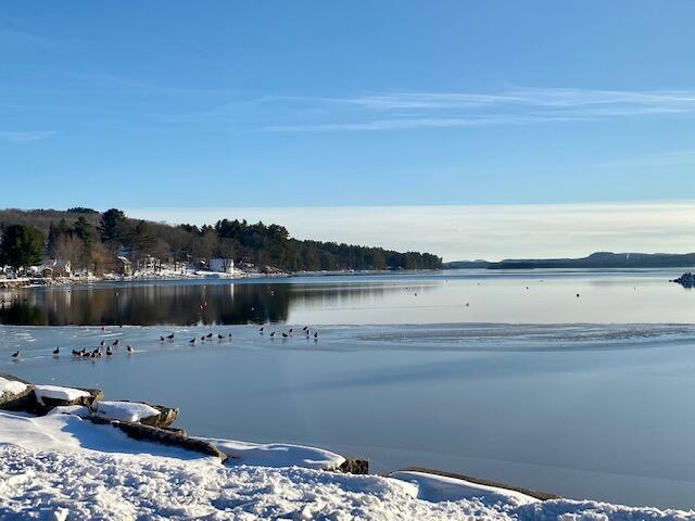 91 Waterford Road Harrison, ME 04040 - Photo 27 of 31 IMG_6450