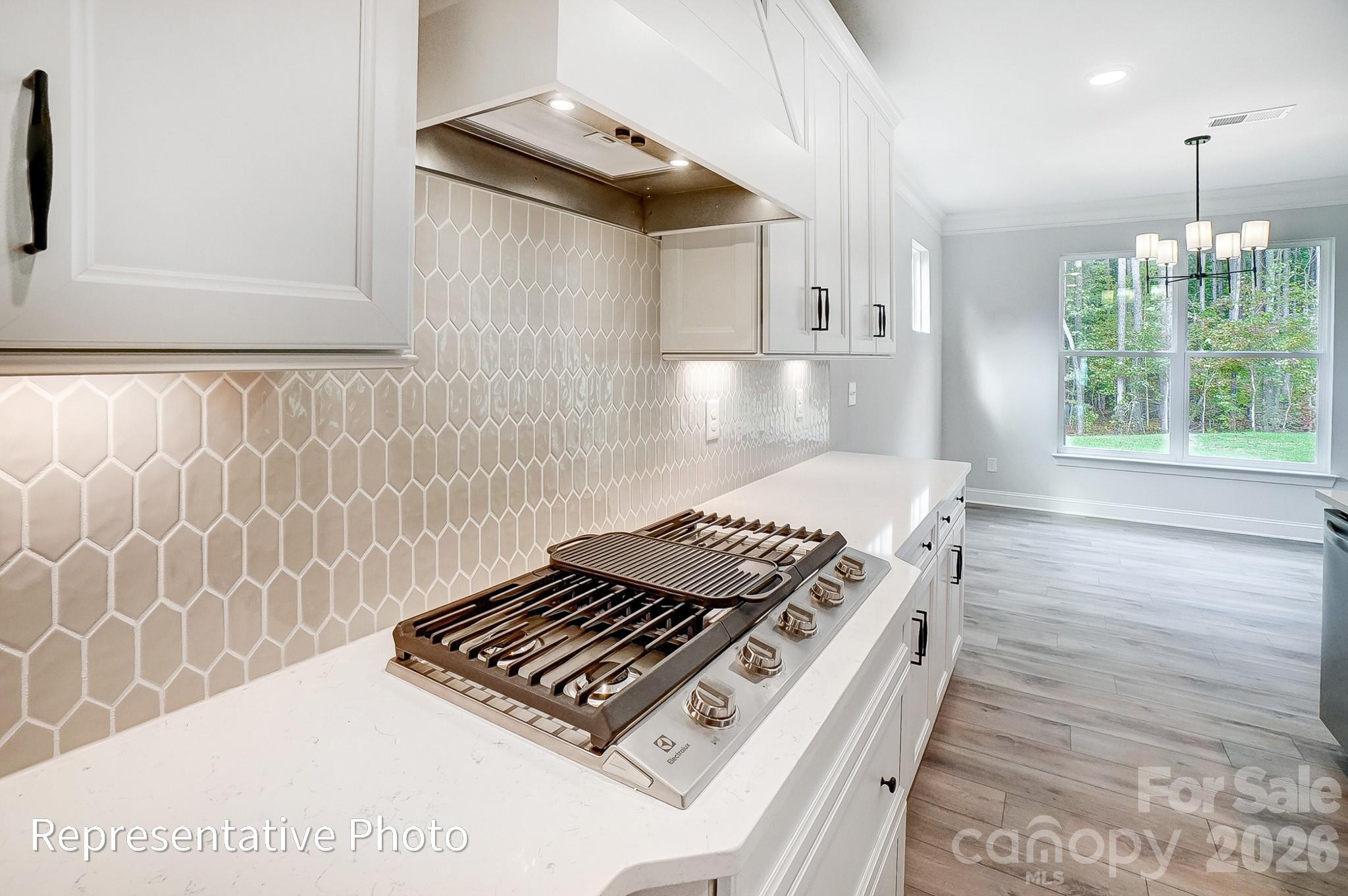 8011 James Query Road Mint Hill, NC 28227 - Photo 10 of 46