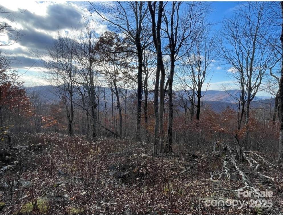 Lot 16 Crown Point Road, Unit 16 Hubert, NC 28539 - Photo 1 of 28 a view of backyard with green space